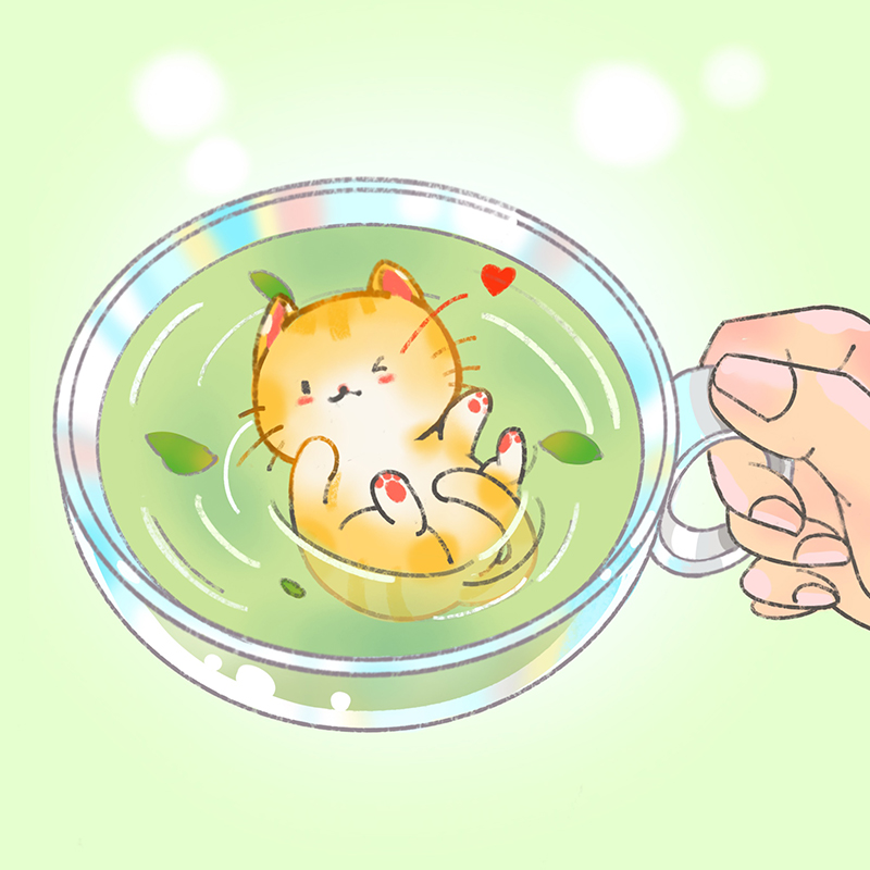 小猫春茶